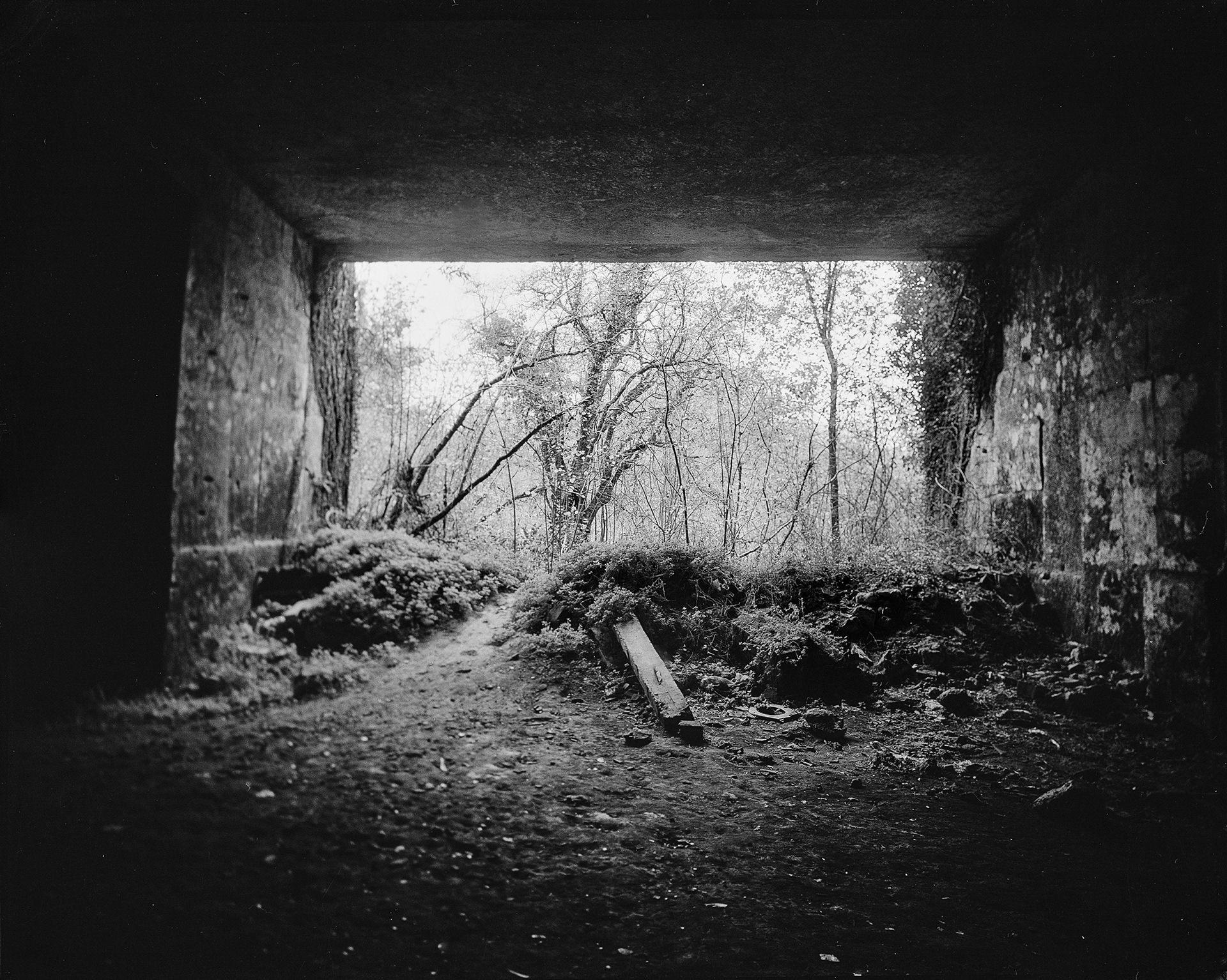 Ancienne carrière (1) (Vallée de l’Anguienne) Les carrières creusées par l’homme dans la vallée de l’Anguienne ont permis la construction de la plupart des maisons et monuments de la ville d’Angoulême et de ses environs avant la généralisation de la production du béton. La pierre calcaire dite « d’Angoulême » extraite de niveaux datant du Mésozoïque (ère secondaire) se caractérise par sa blancheur et la présence de très nombreux fossiles marins.