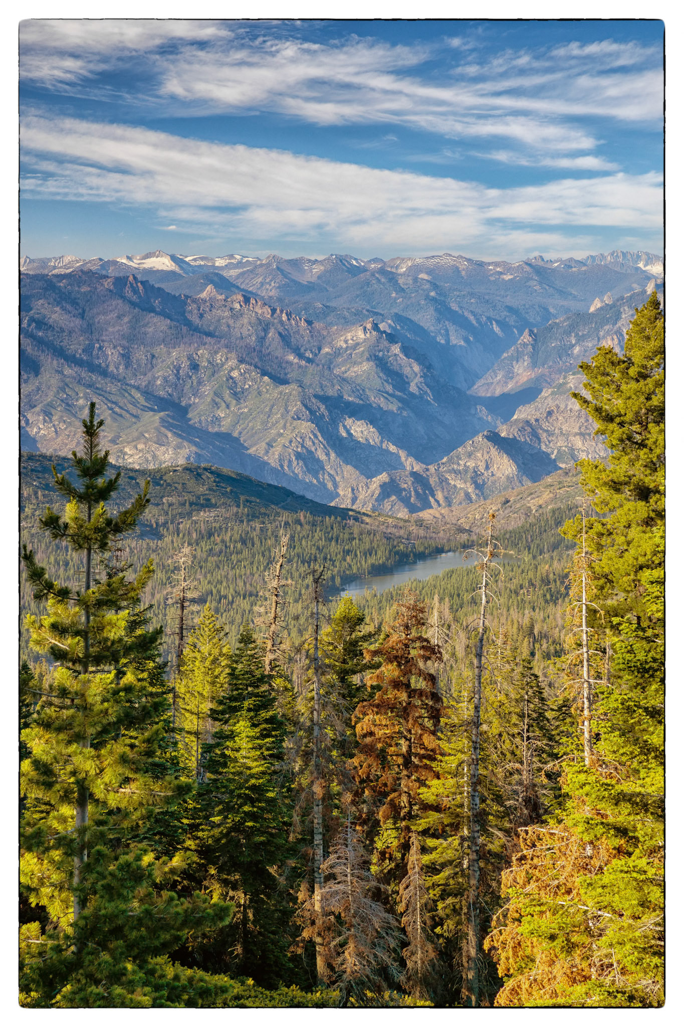 Sequoia National park