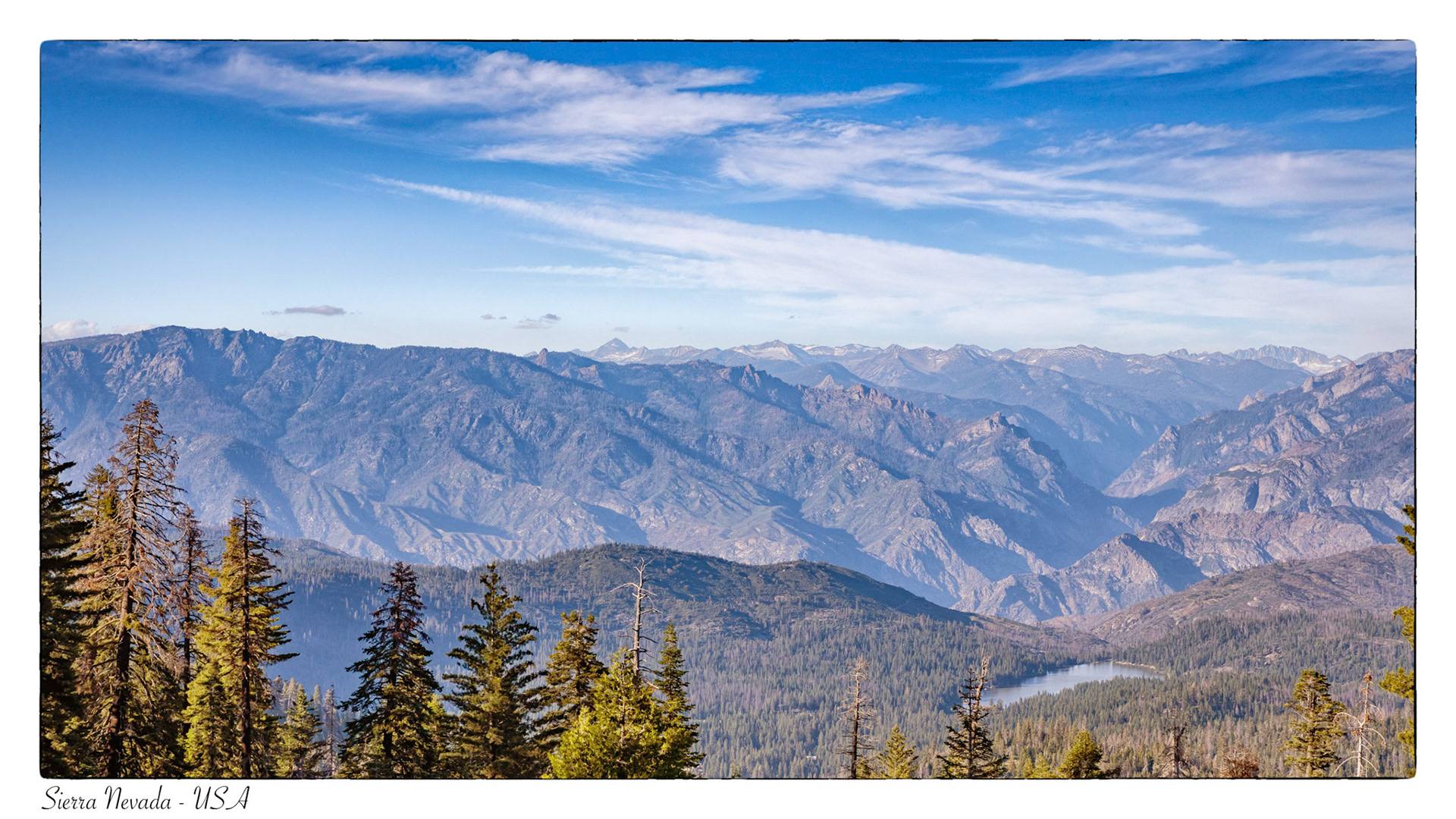Sequoia National park