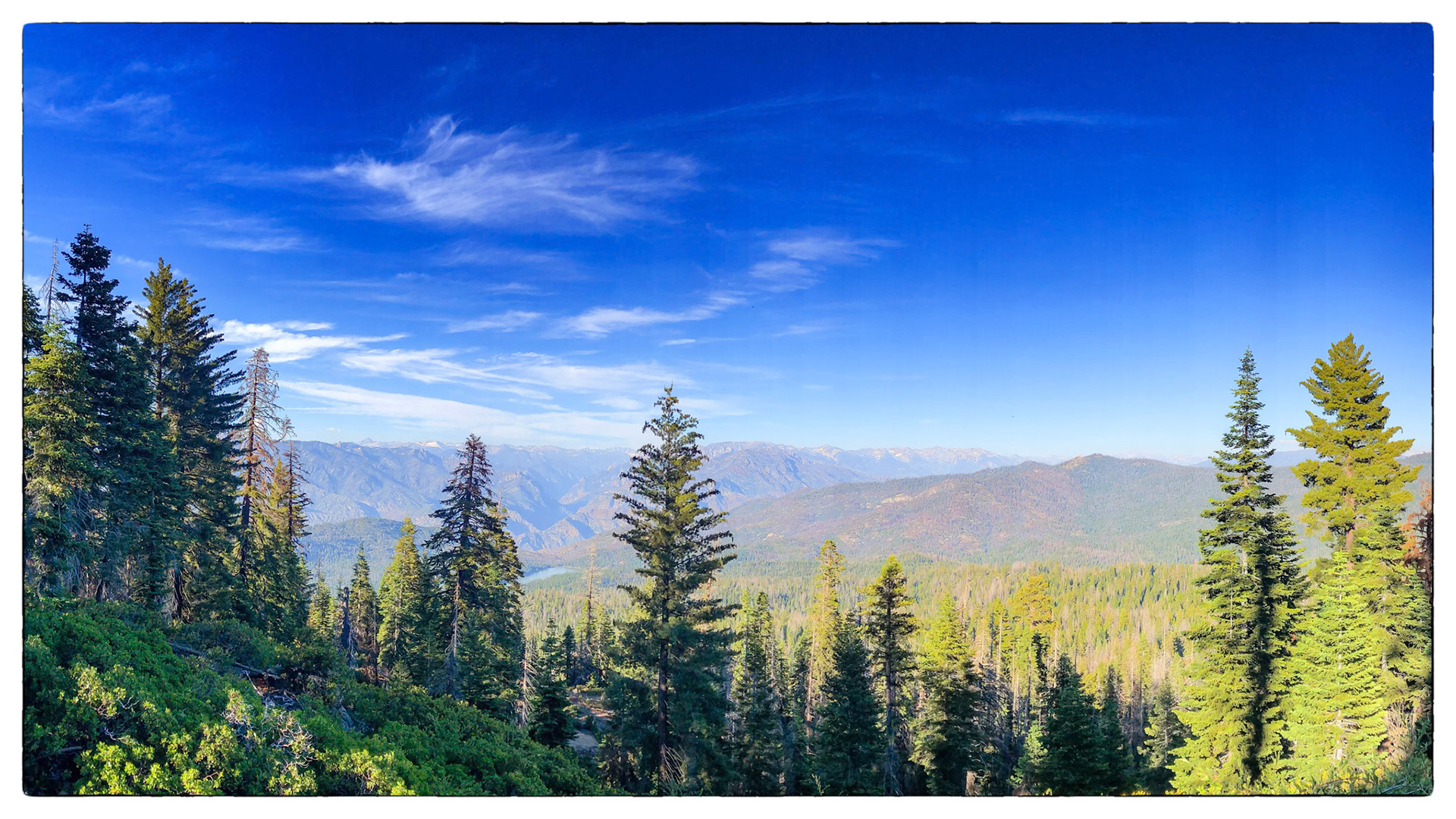 Sequoia National park