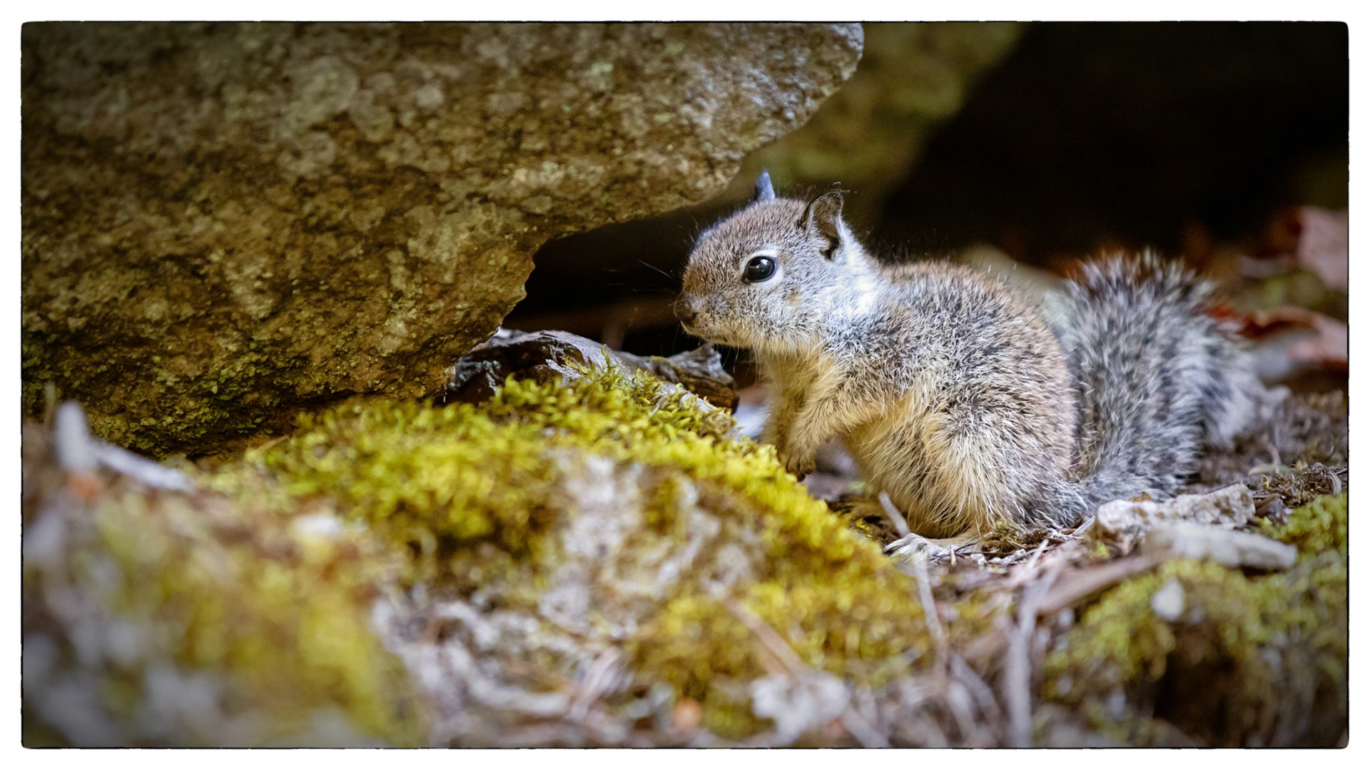 Yosemite Park- Vernon falls