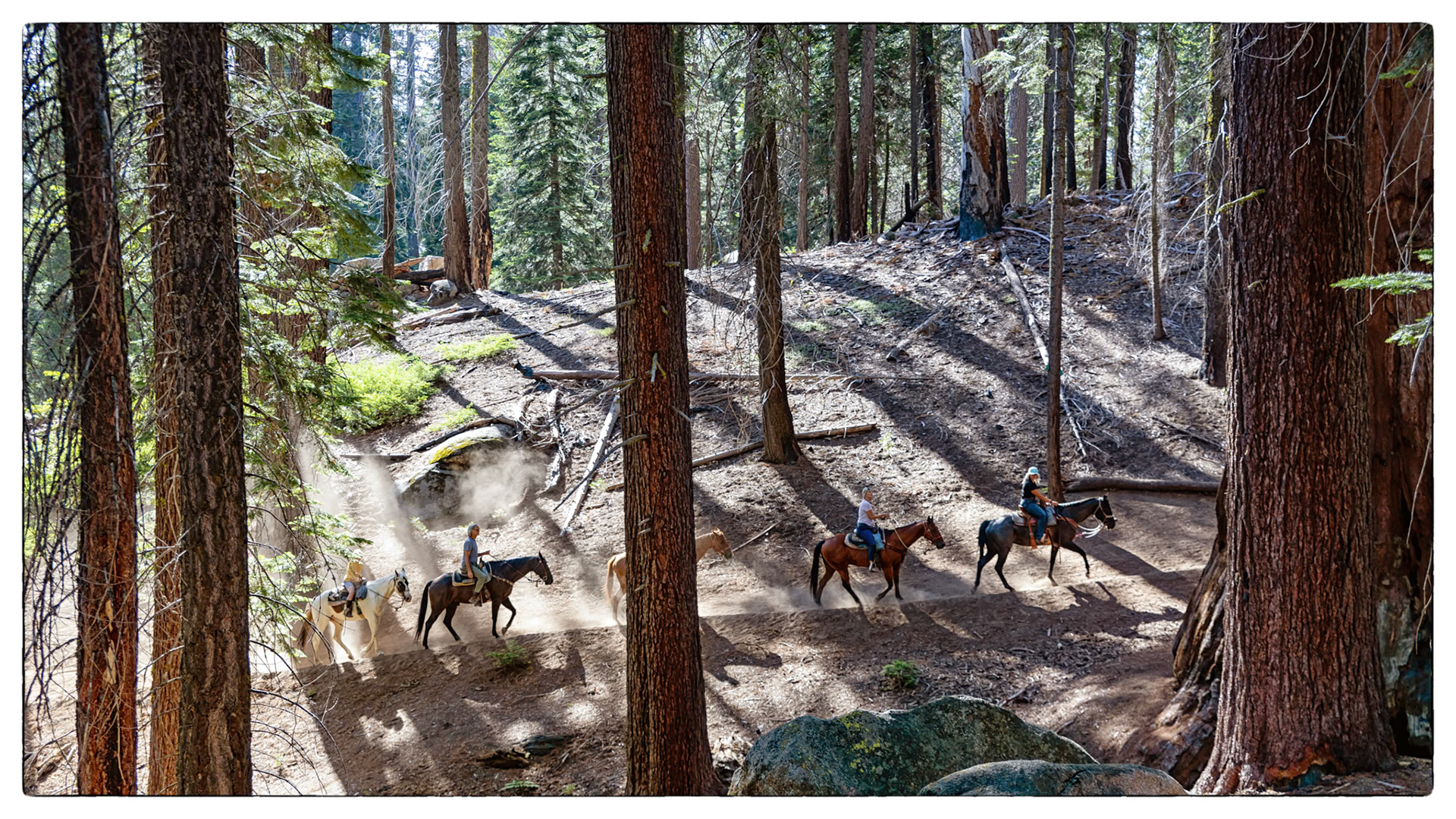 Sequoia National park