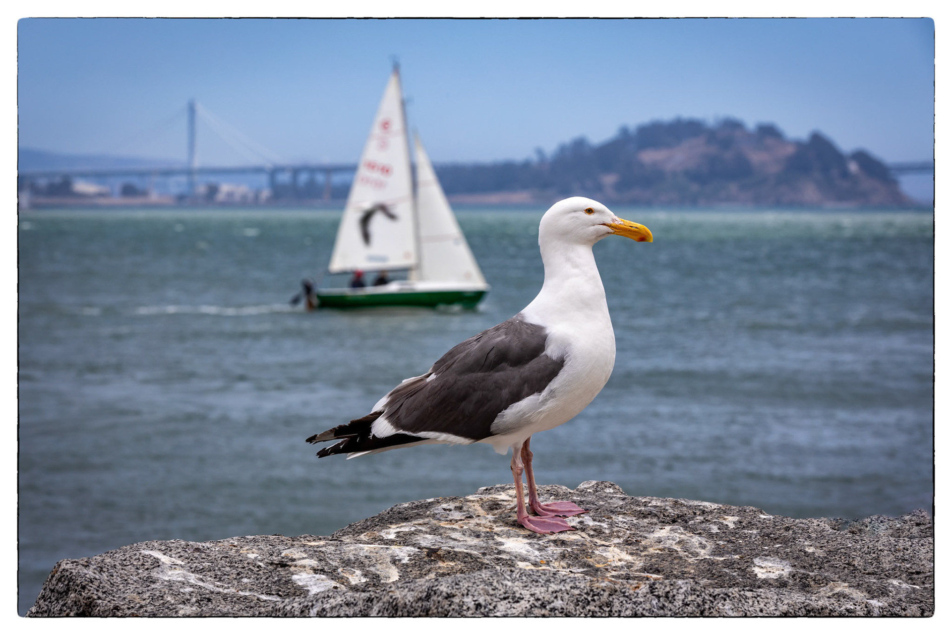 San Francisco