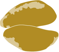 Castanha do Brasil