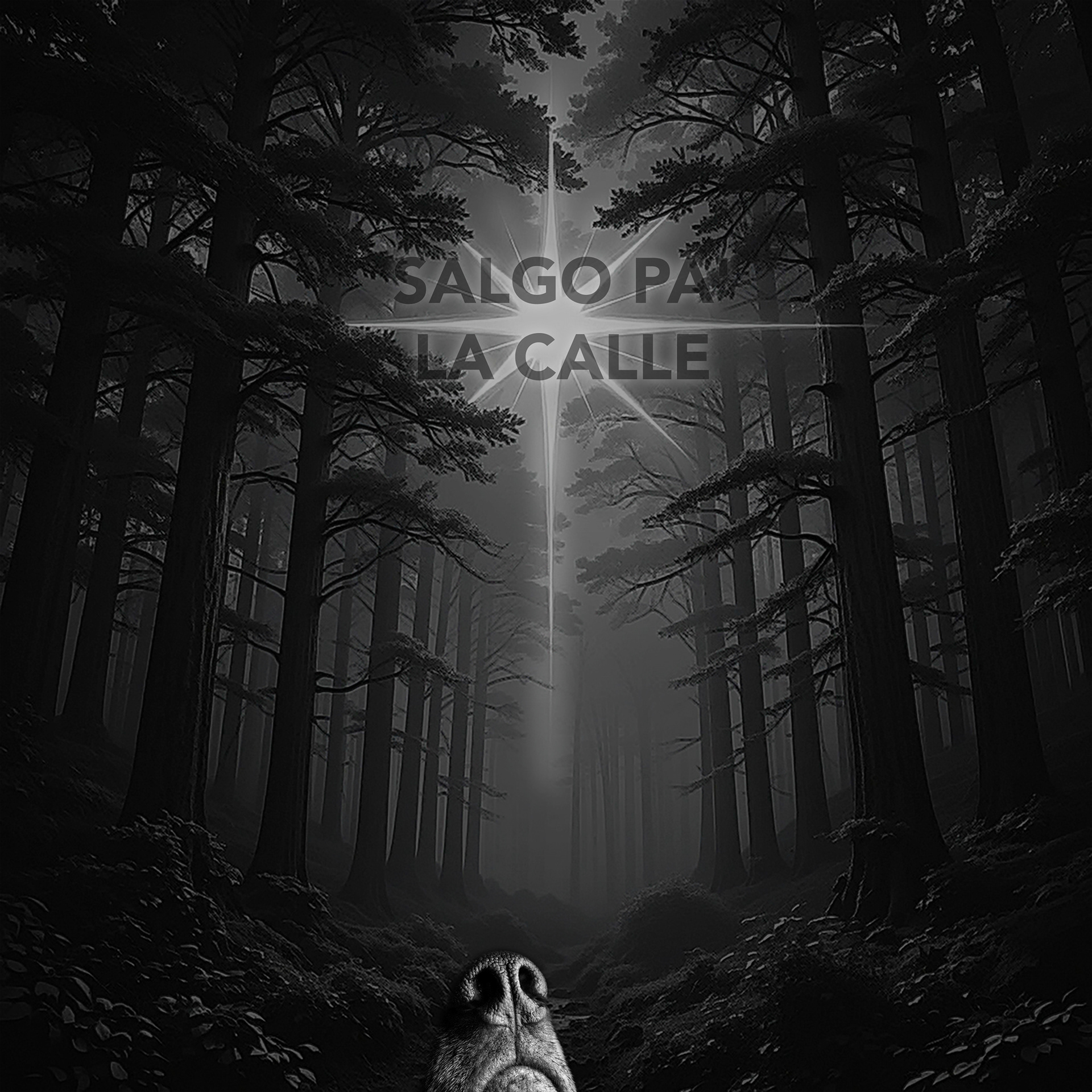 Gonshi - Salgo pa' la calle (2025) (Images provided by the musician)