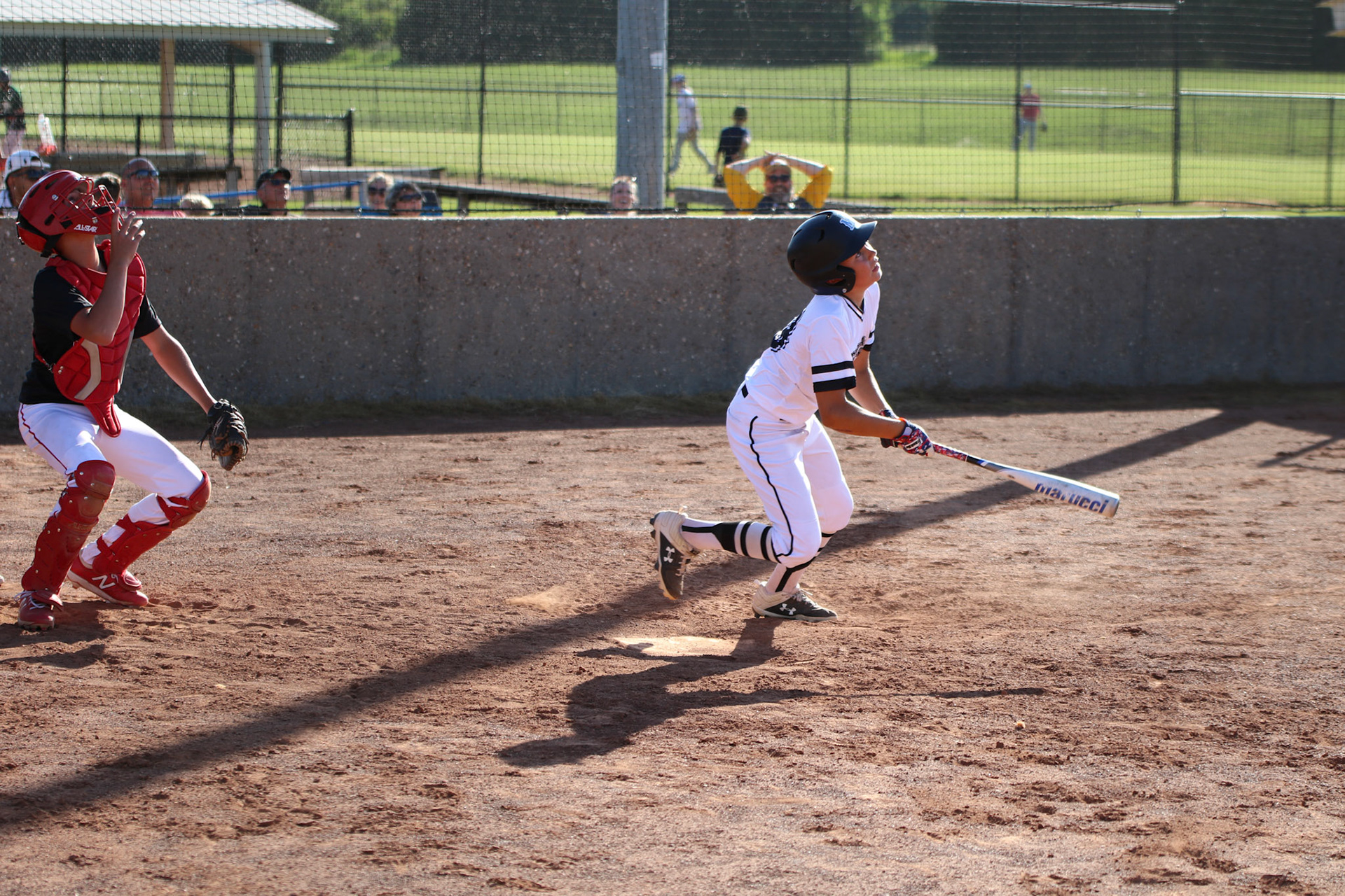 Capital City Monarchs Baseball