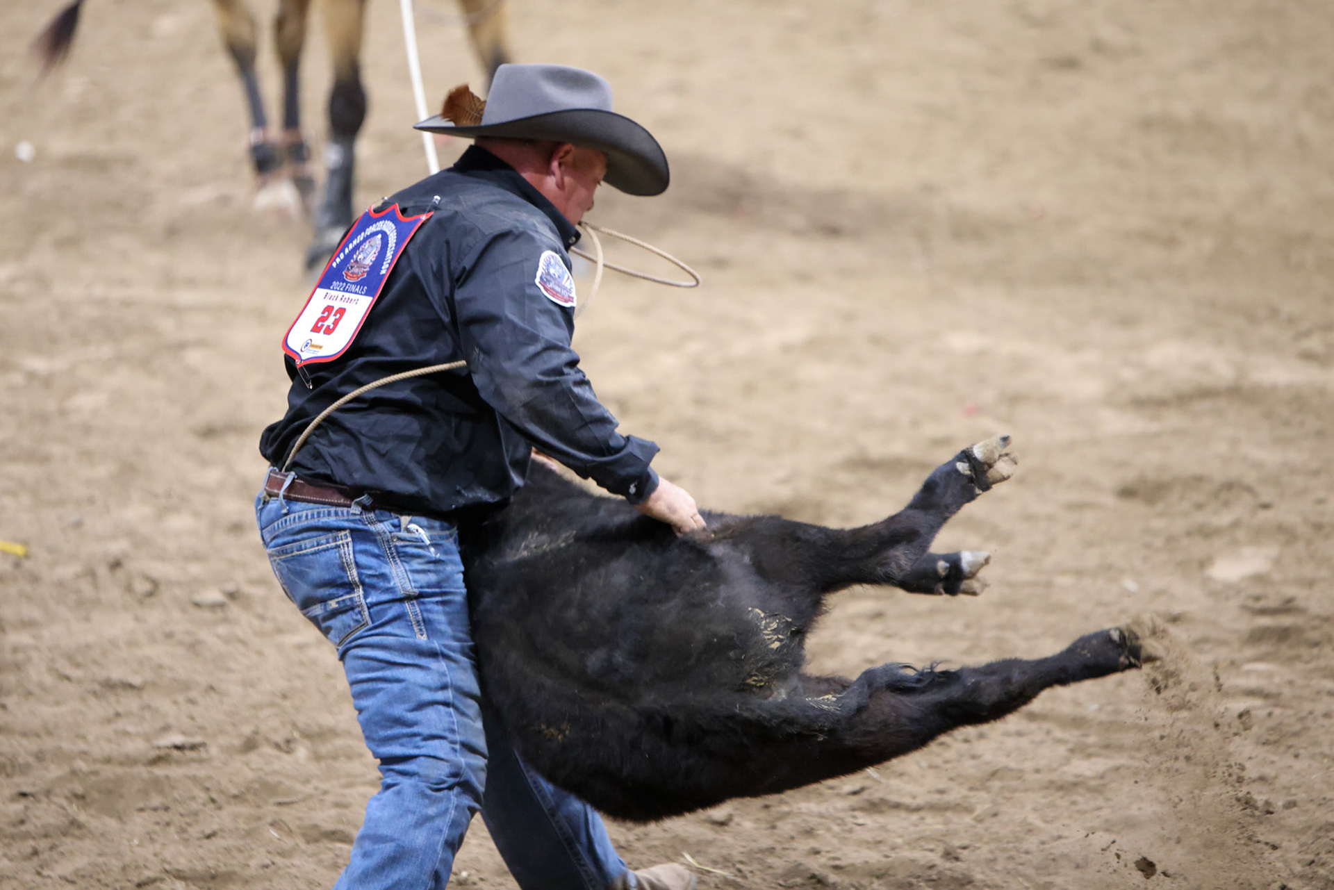 Professional Armed Forces Rodeo Association (PAFRA)
