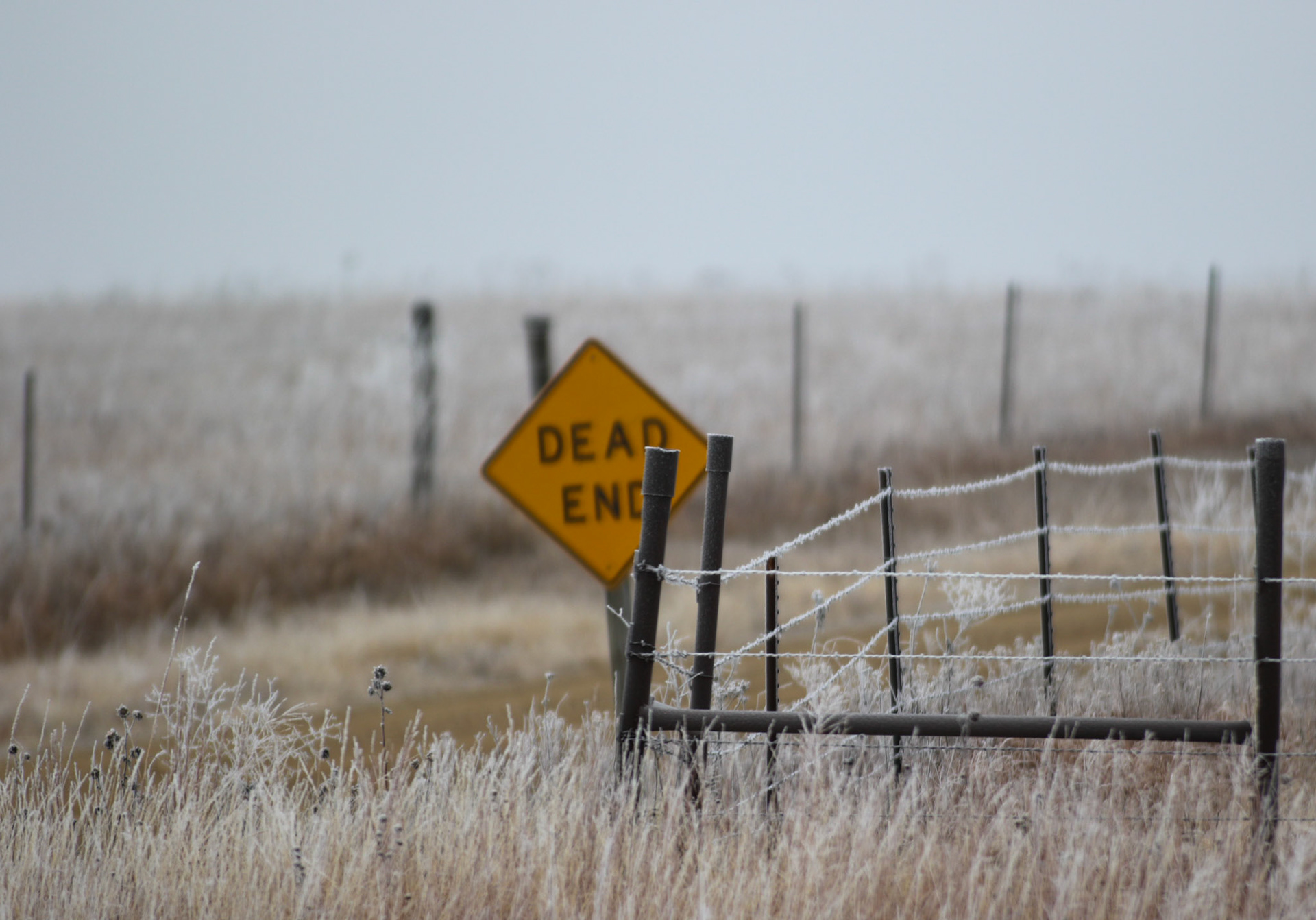 Flint Hills Photography