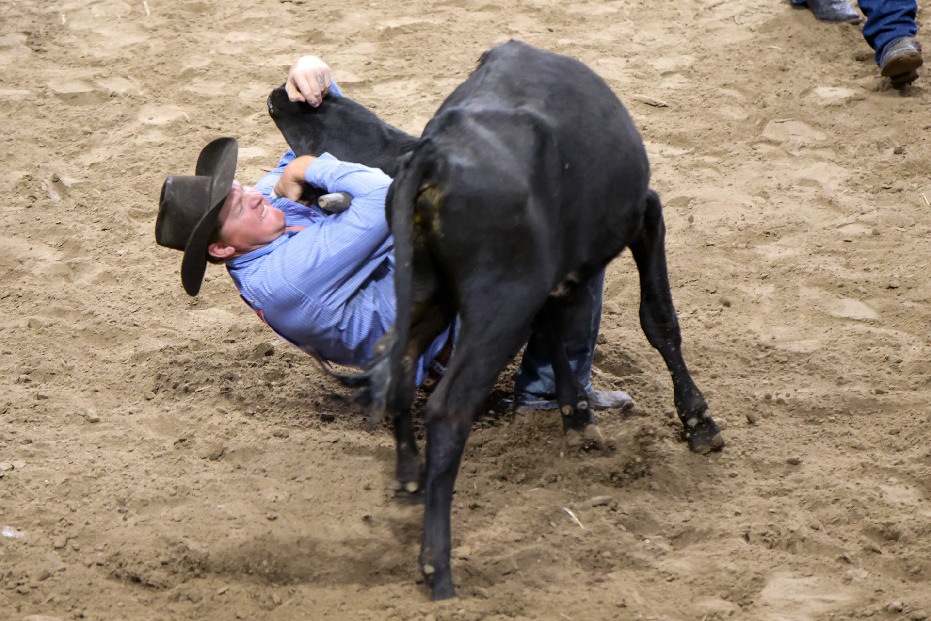 Professional Armed Forces Rodeo Association (PAFRA)