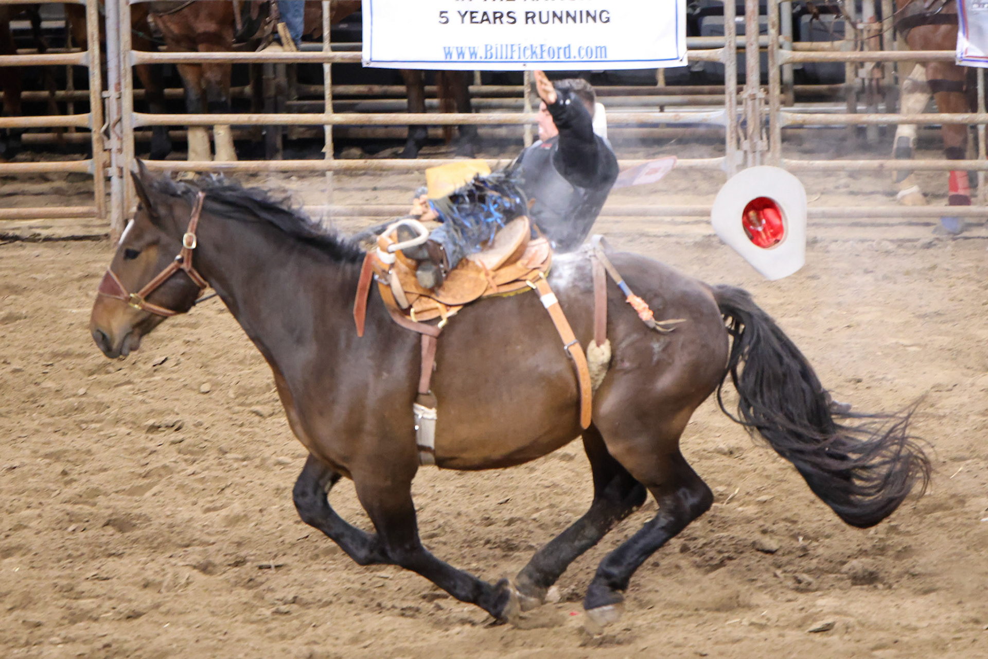 Professional Armed Forces Rodeo Association (PAFRA)