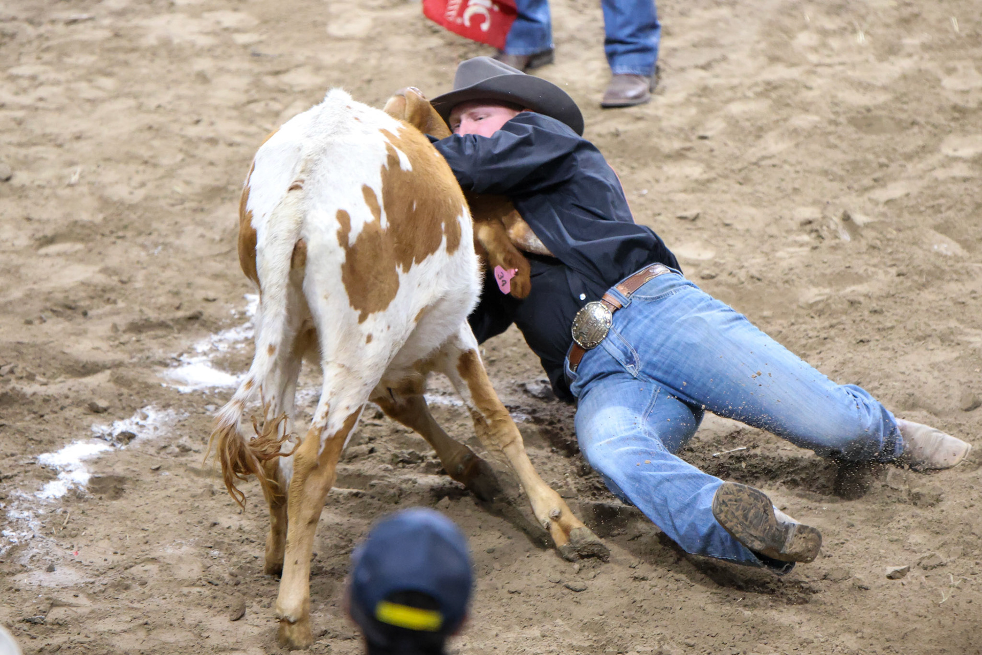 Professional Armed Forces Rodeo Association (PAFRA)