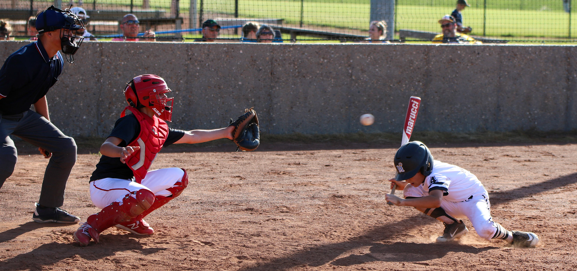 Capital City Monarchs Baseball