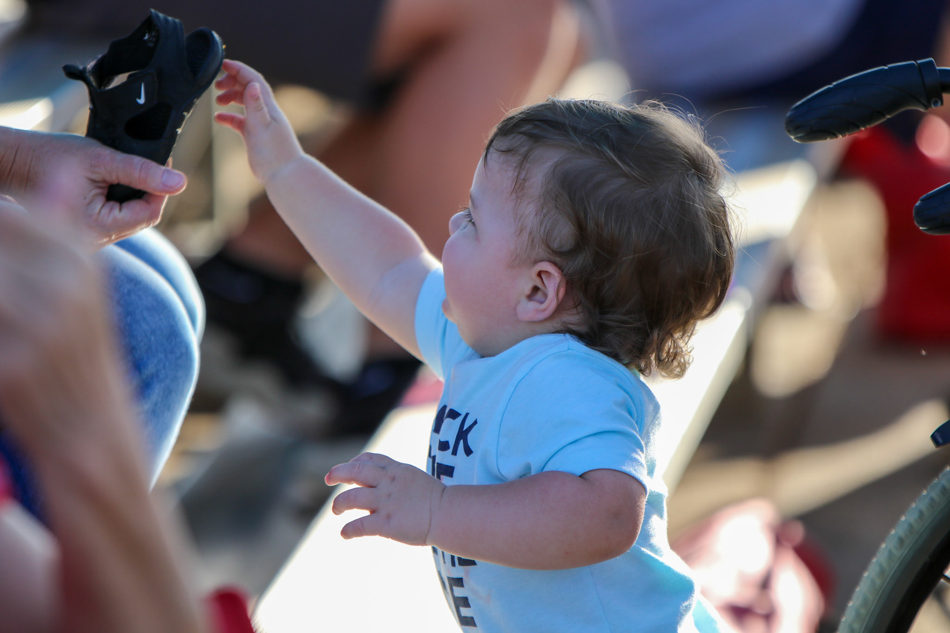 Capital City Monarchs Baseball
