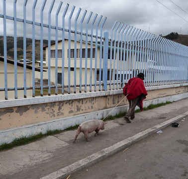 Le Marché n'est pas loin
