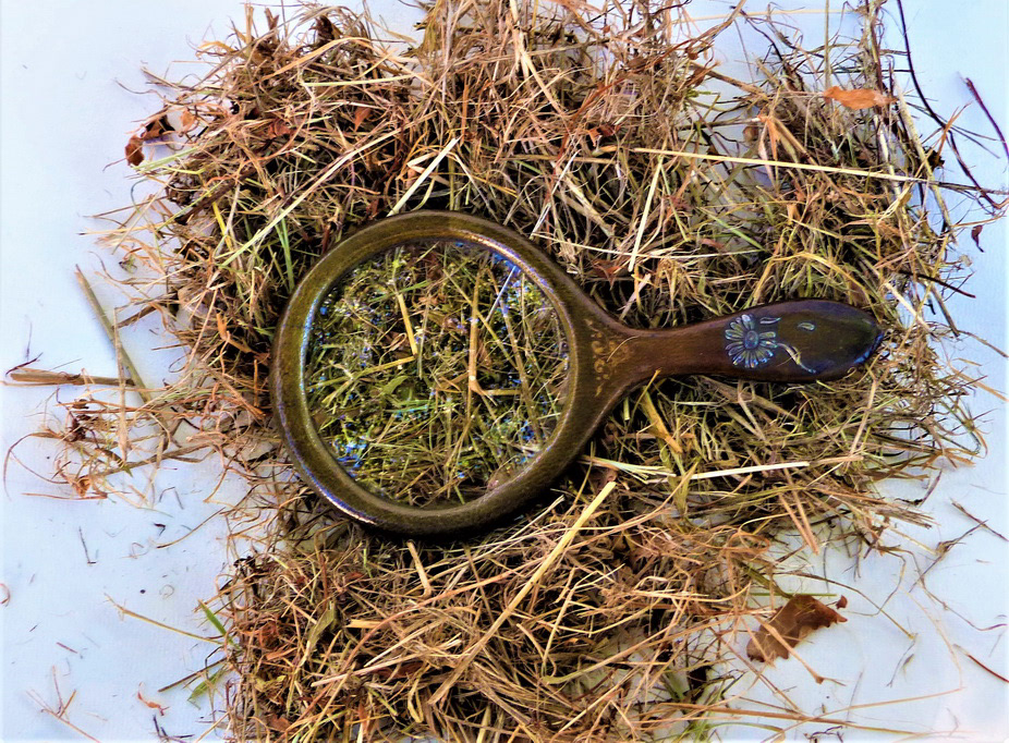 Chercher une aiguille dans une botte de foin