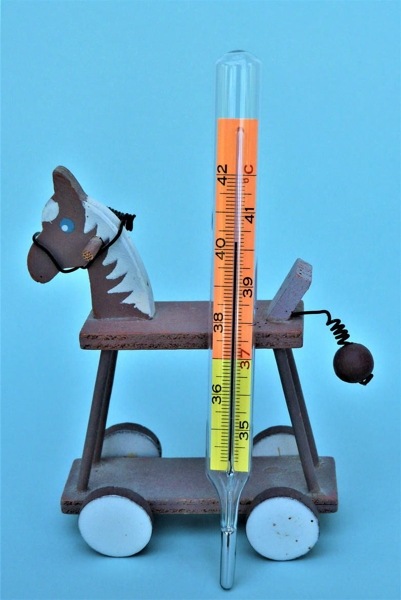 Une fièvre de cheval