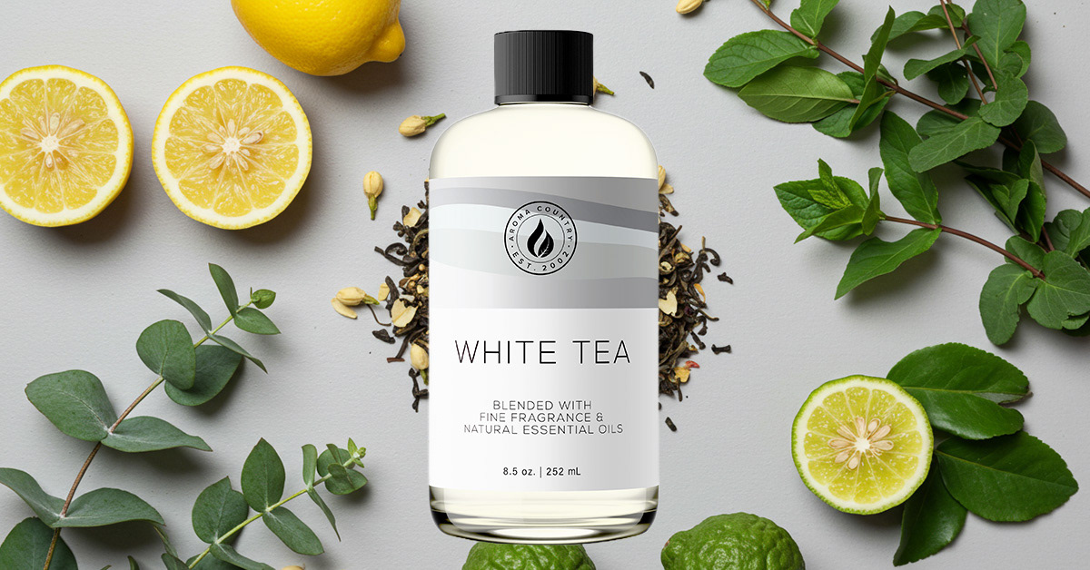 Utilized Ai + Photoshop to create image ad of potential product for an Amazon Ad