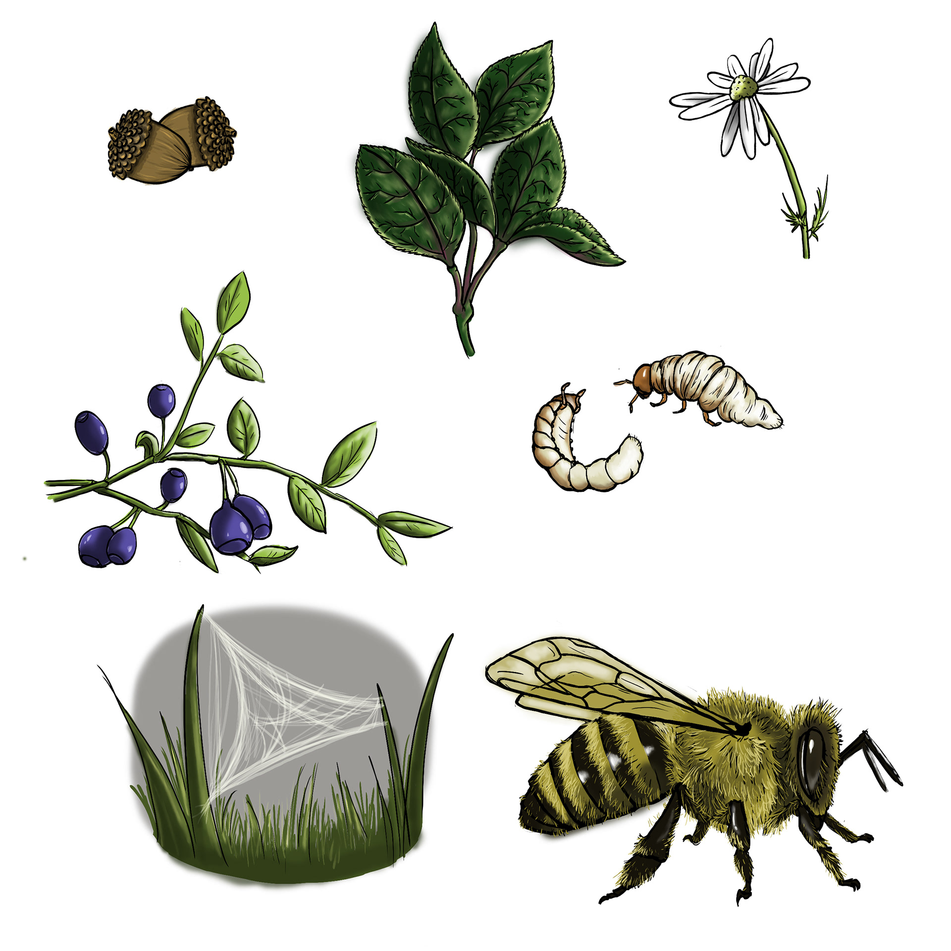 Glossary images