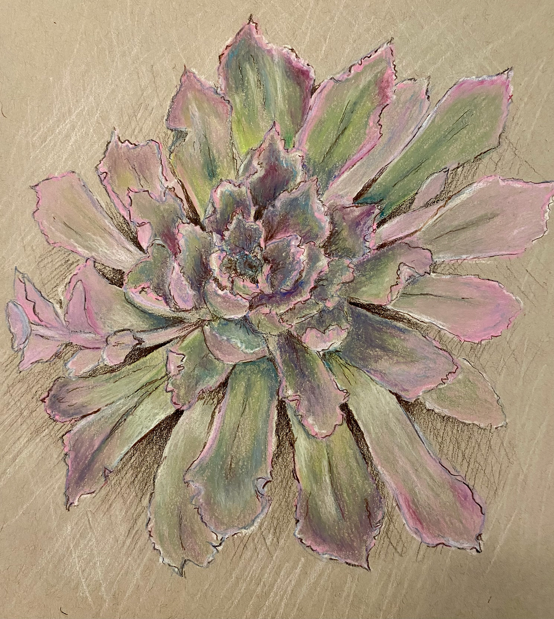 "Succulent" - mixed media