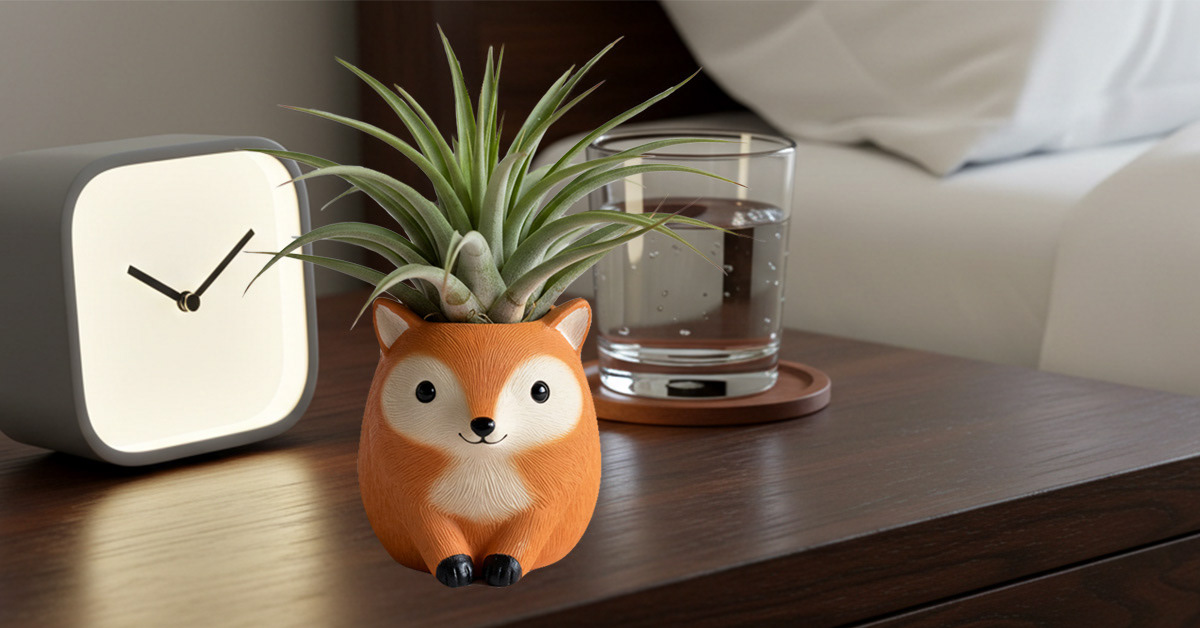 Utilized AI + Photoshop to create fake air plant image ad as if showcasing on amazon