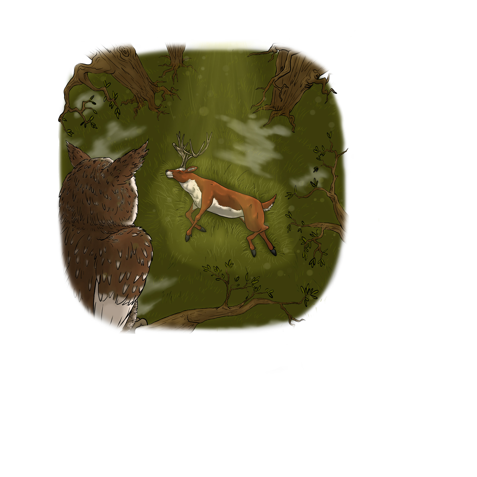 Owls view of Russet
