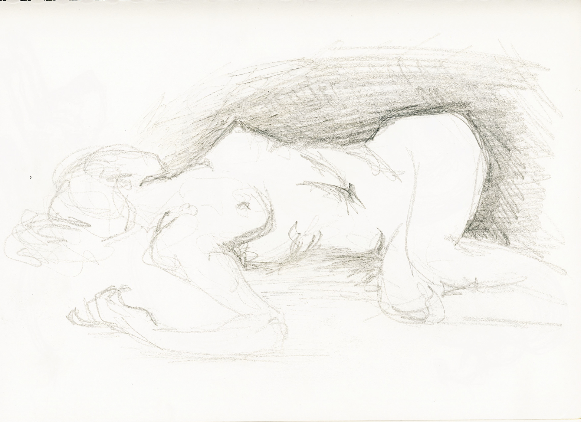 "Still life - Woman" - pencil