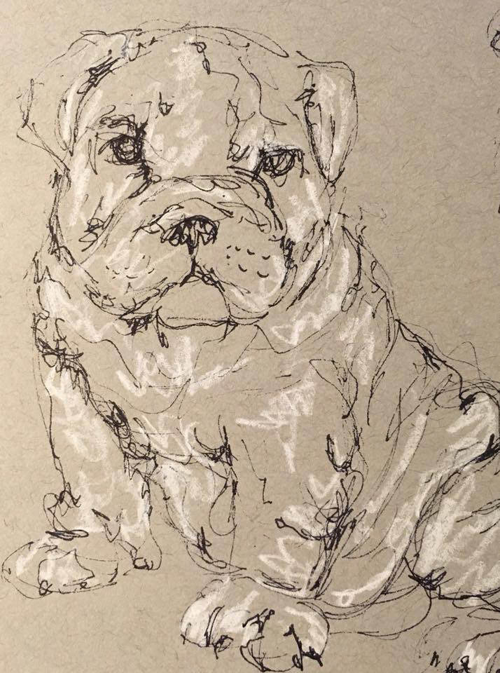 "Puppy" - ink and pencil
