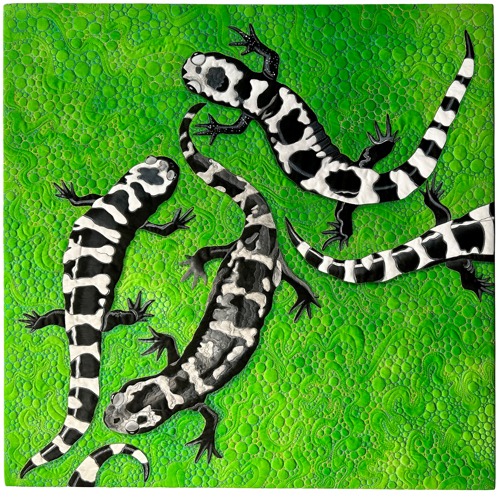 Marbled Salamanders