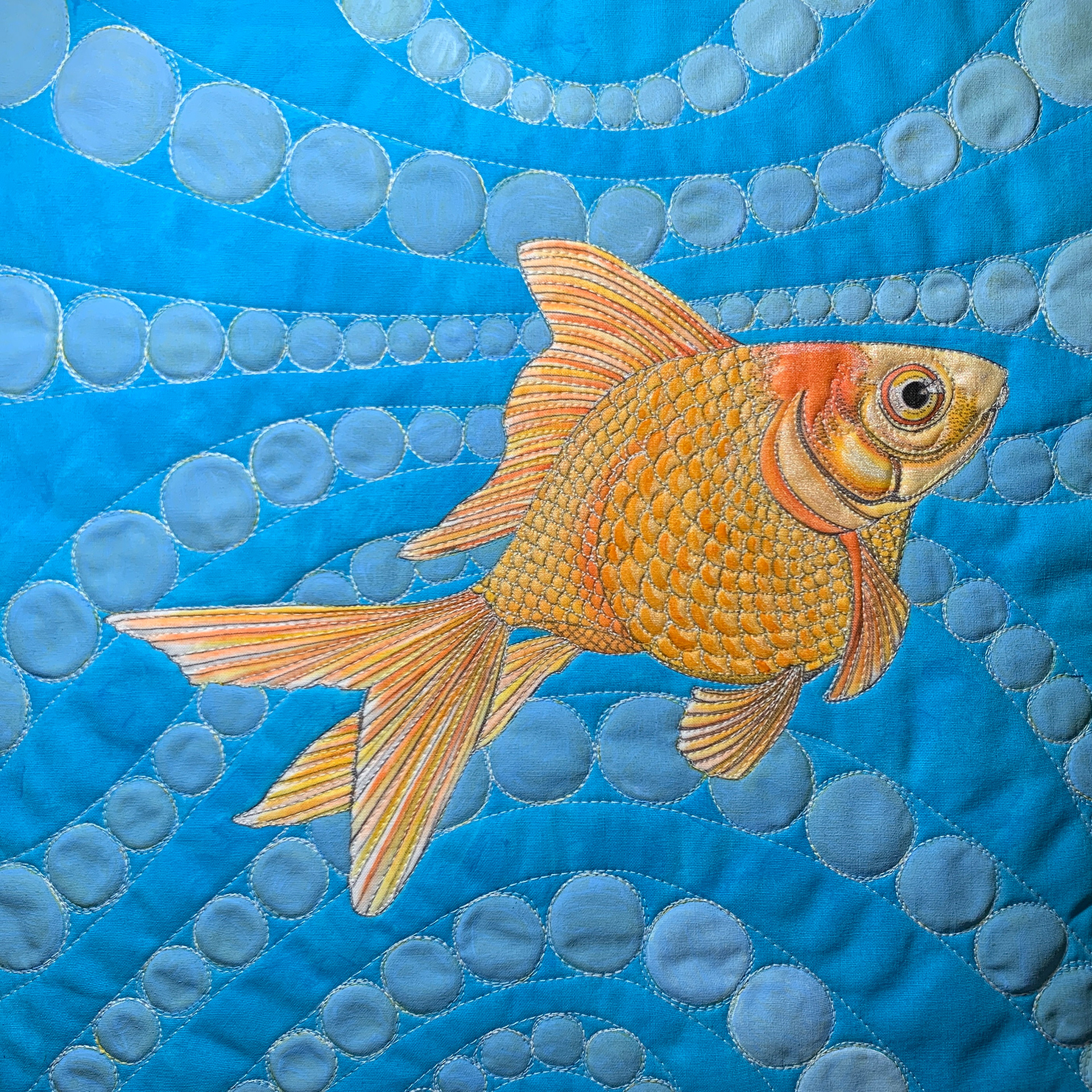 Goldfish #6