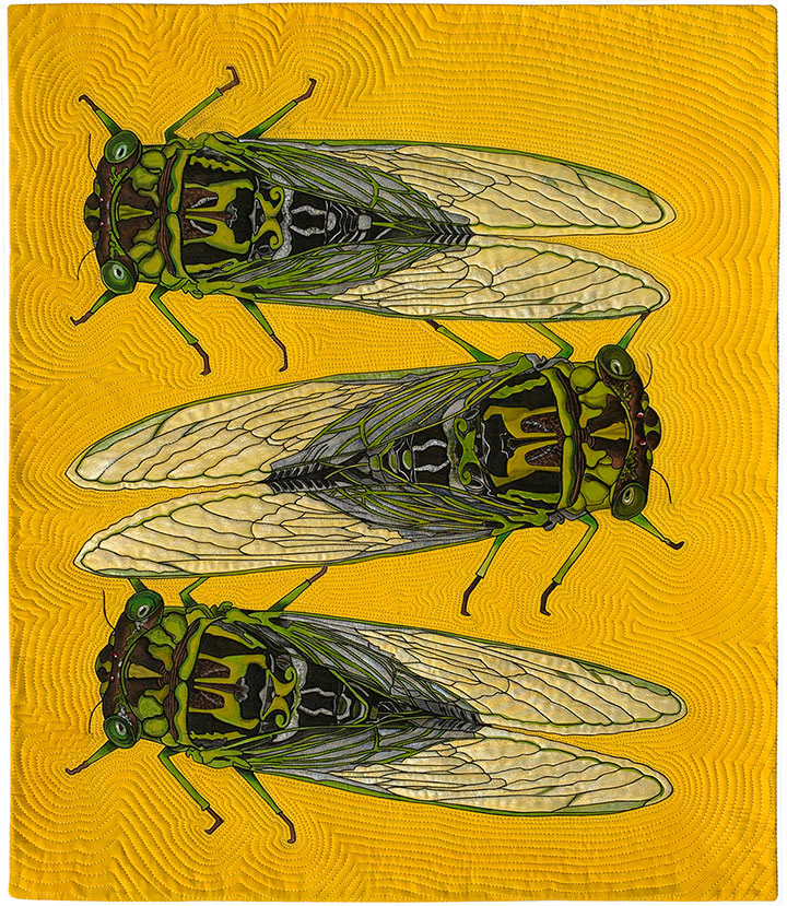 Cicadas on Yellow