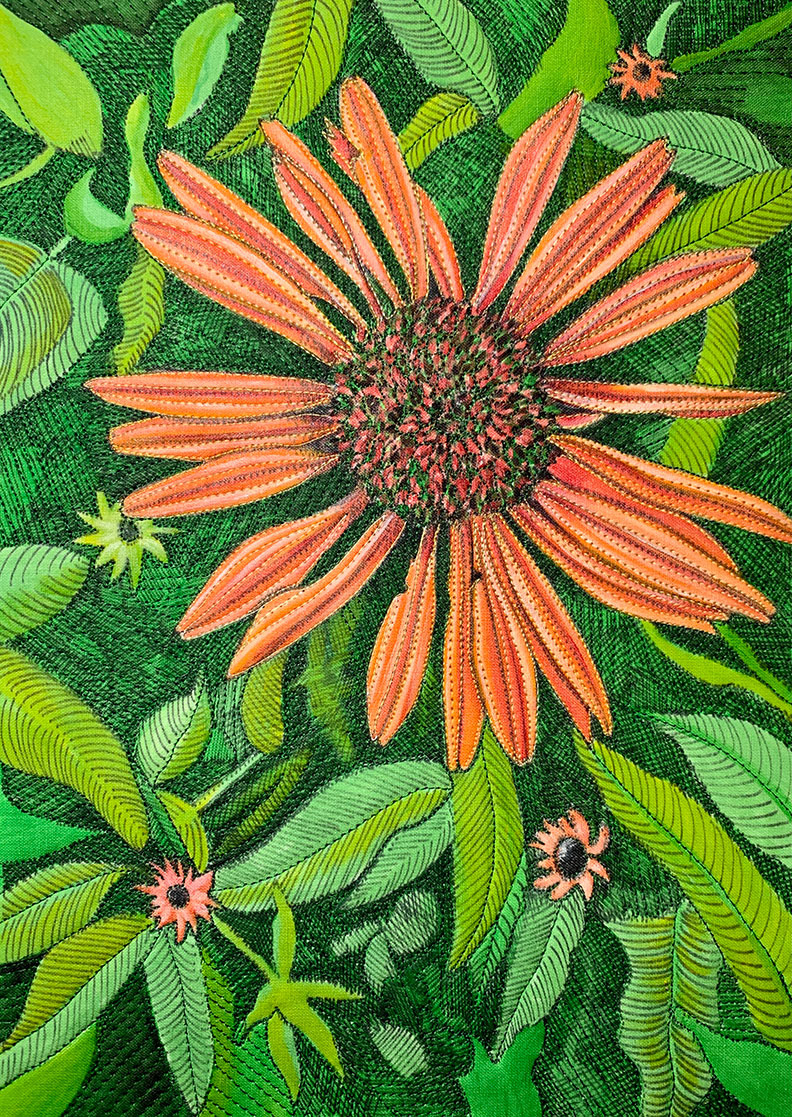 Coneflower in Orange