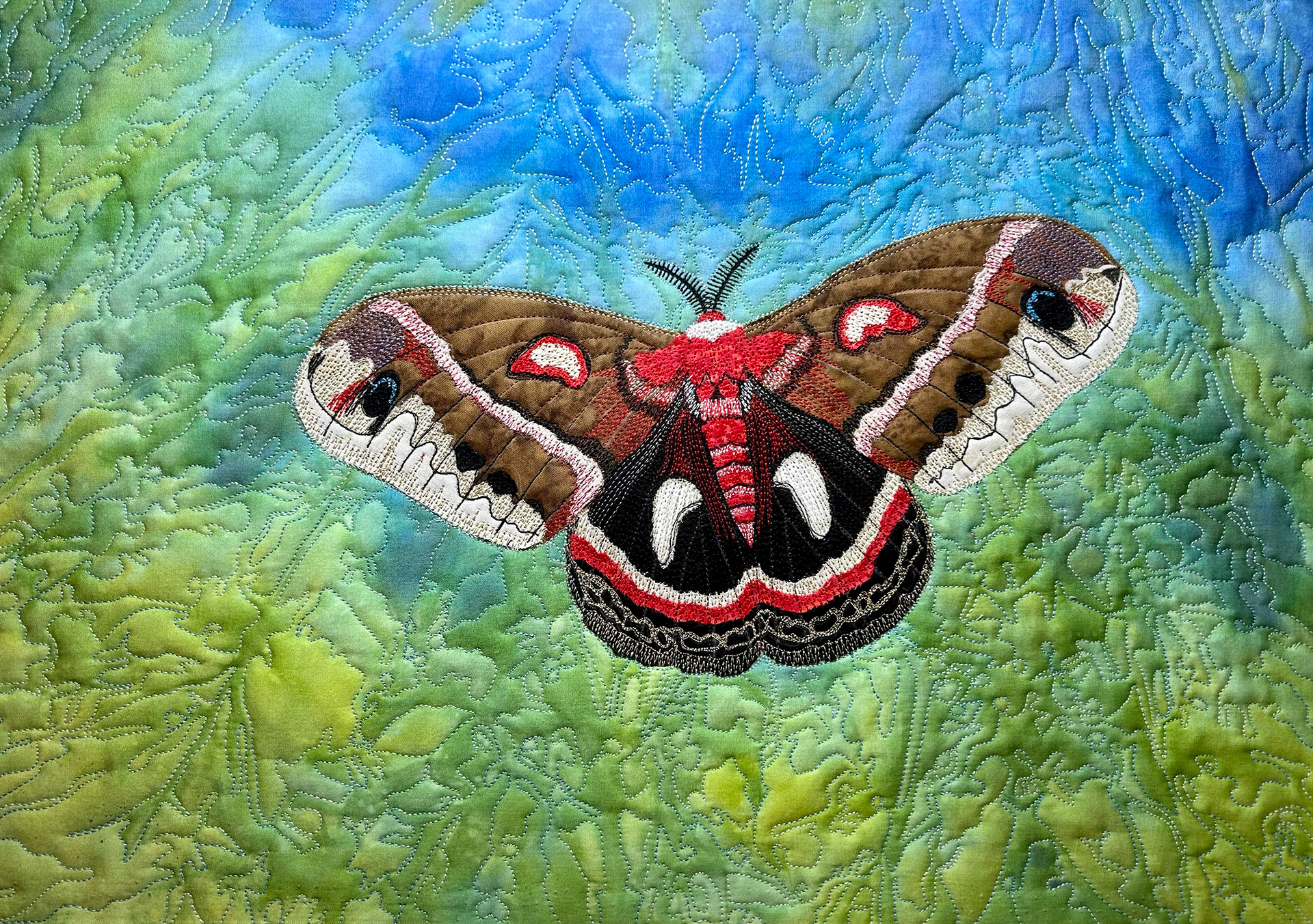 Cecropia