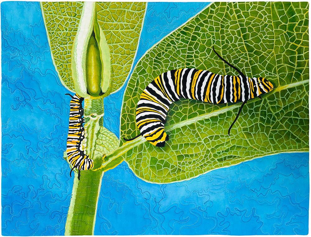 Monarch Munch