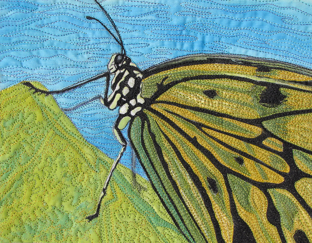Little Green Butterfly