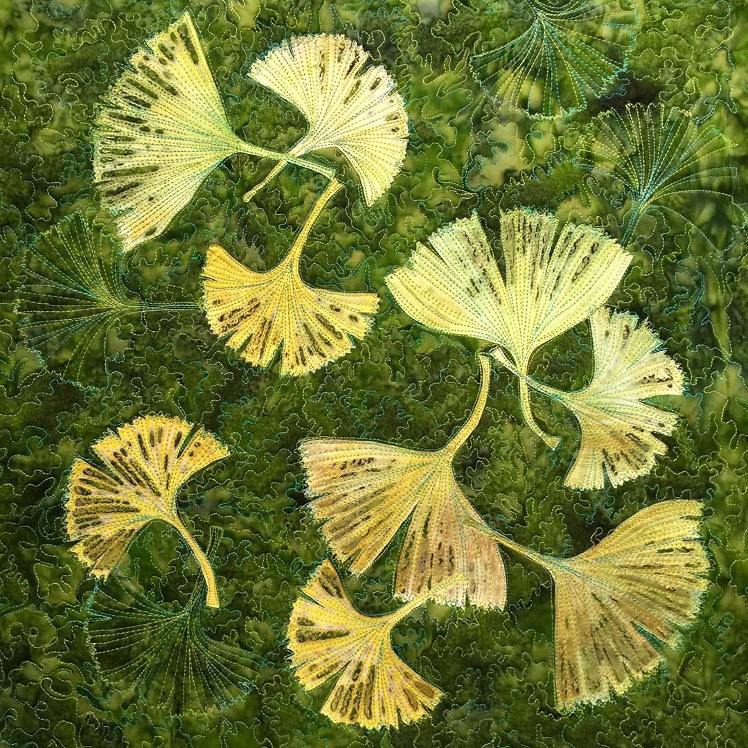 Ginkgo