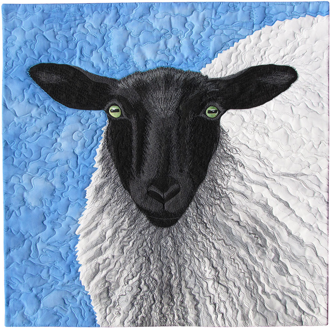 Suffolk Sheep #4