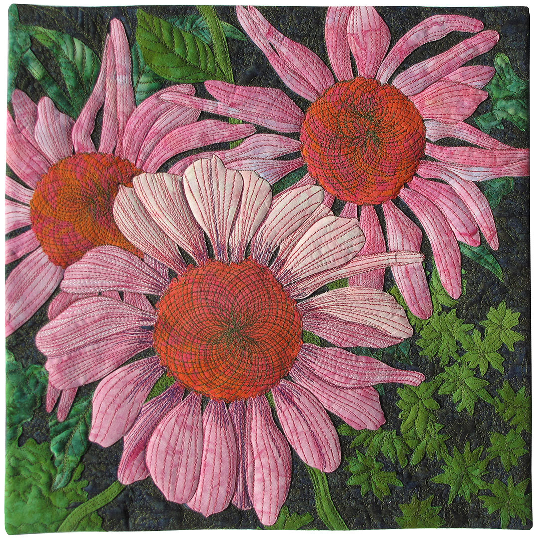 Pink Coneflowers
