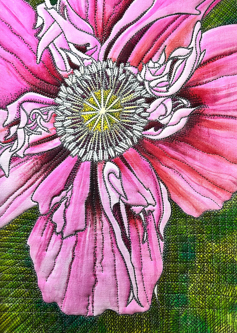 Poppy in Fuchsia