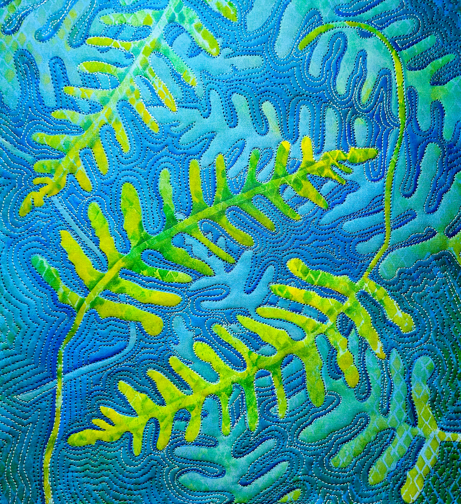 Resurrection Fern #1