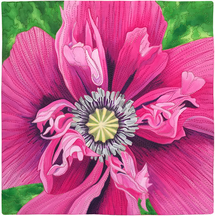Pink Poppy