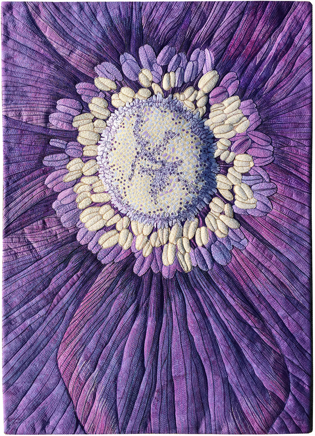 Purple Anemone