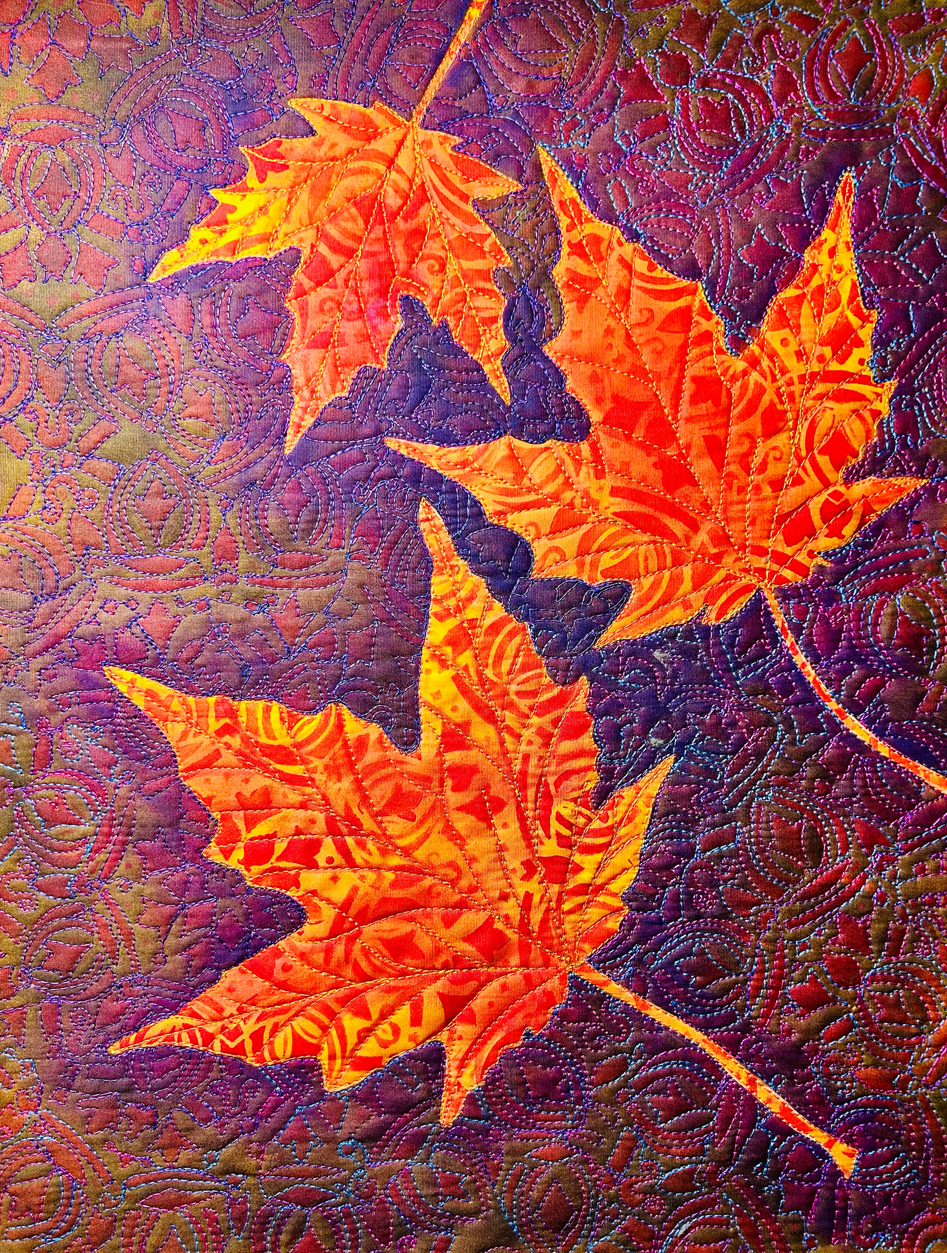 Sugar Maple 1
