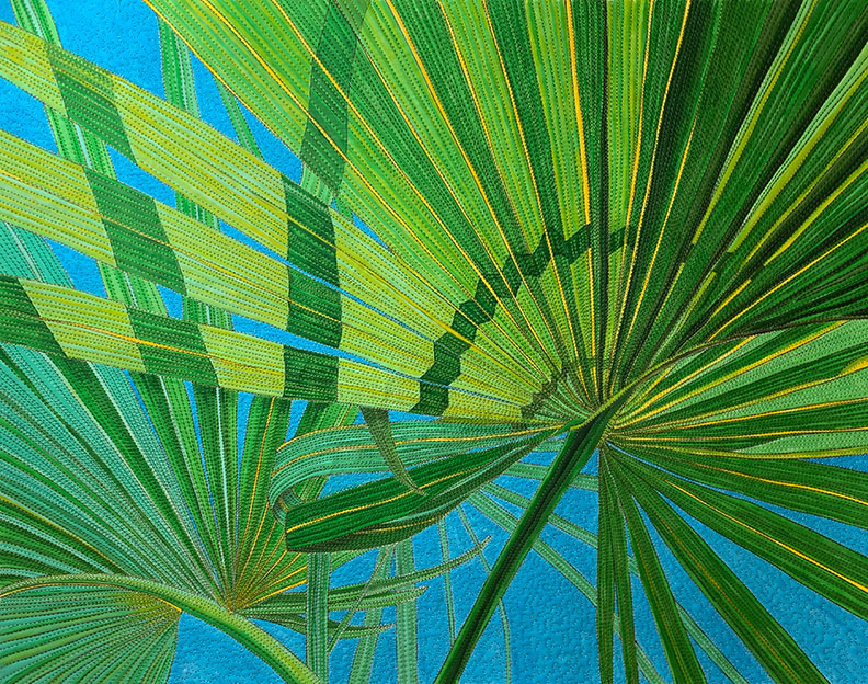 Palmetto