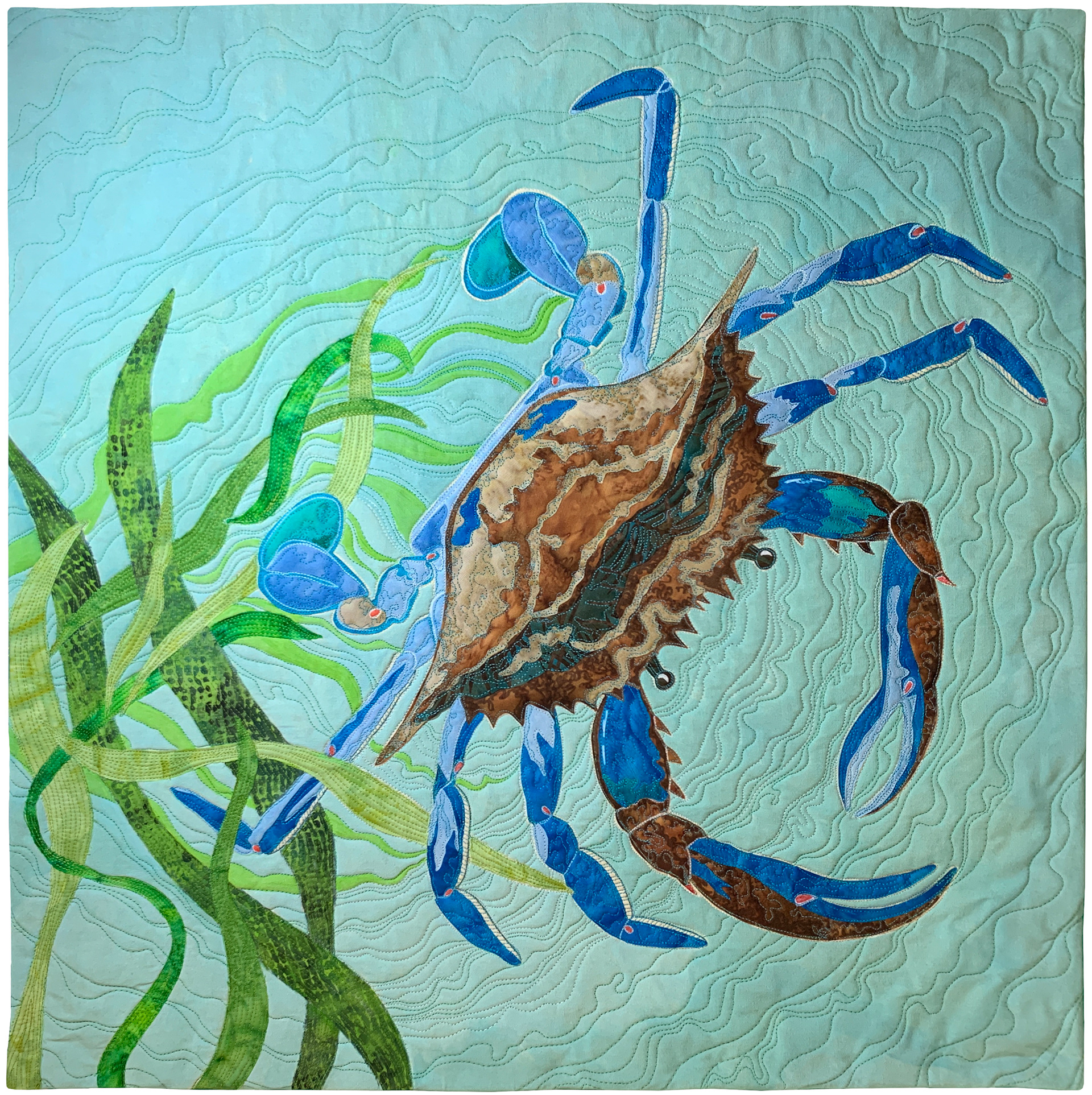 Marsh Crab
