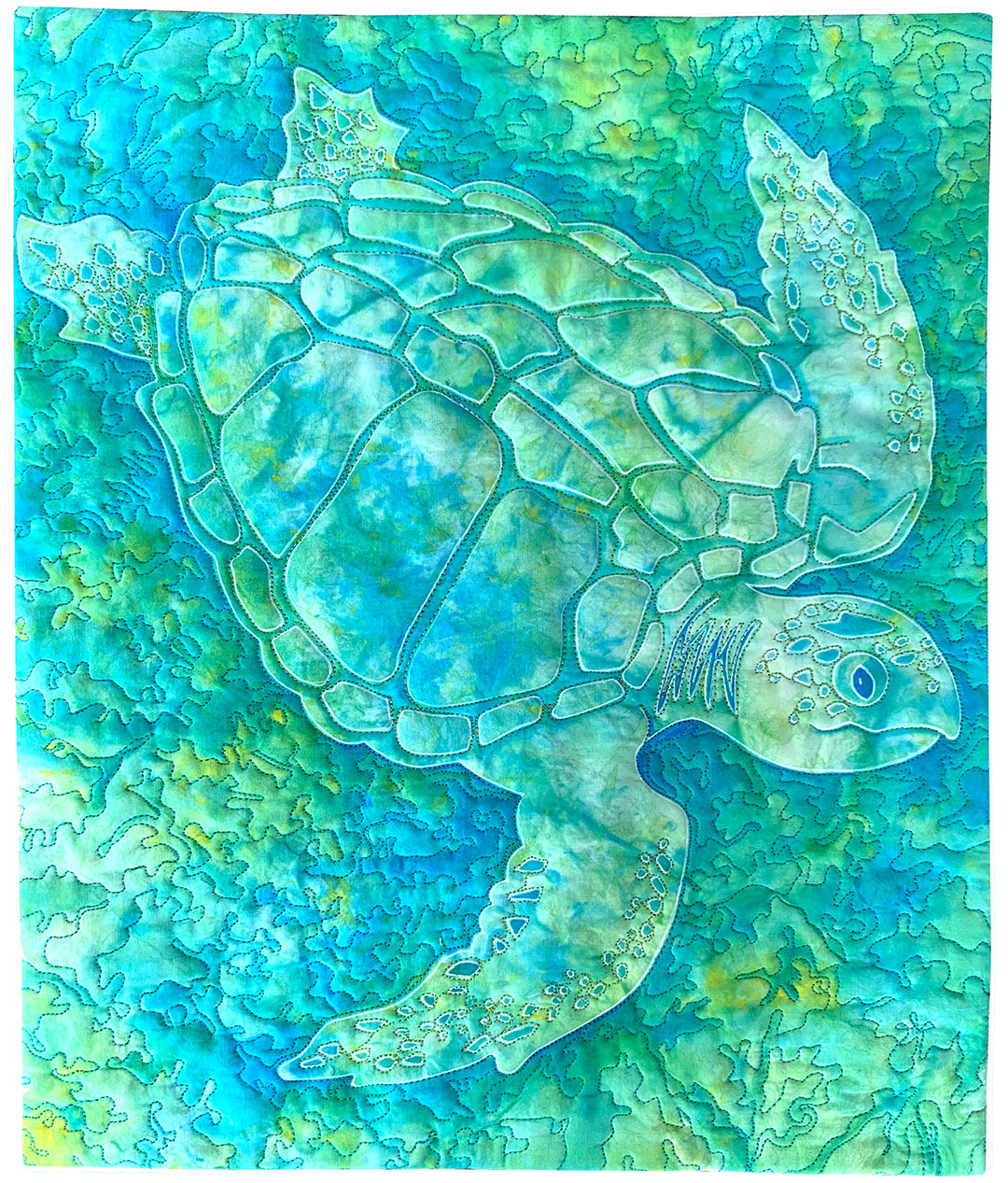 Loggerhead #1