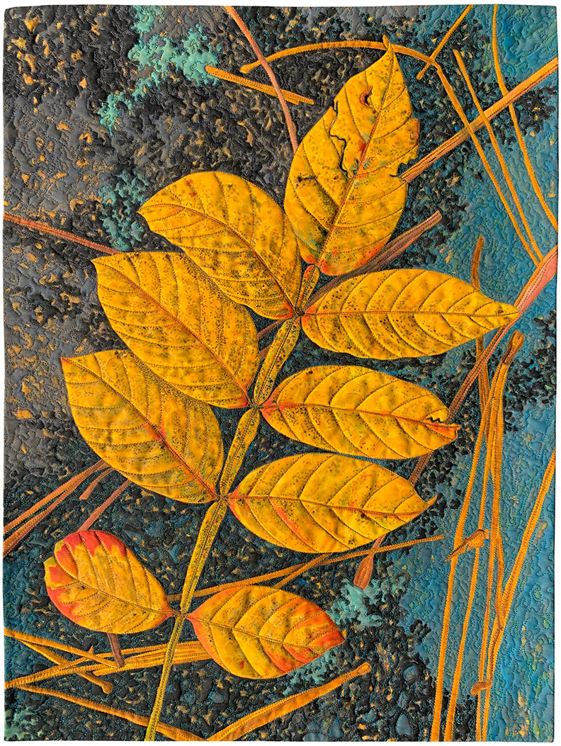 Winged Sumac