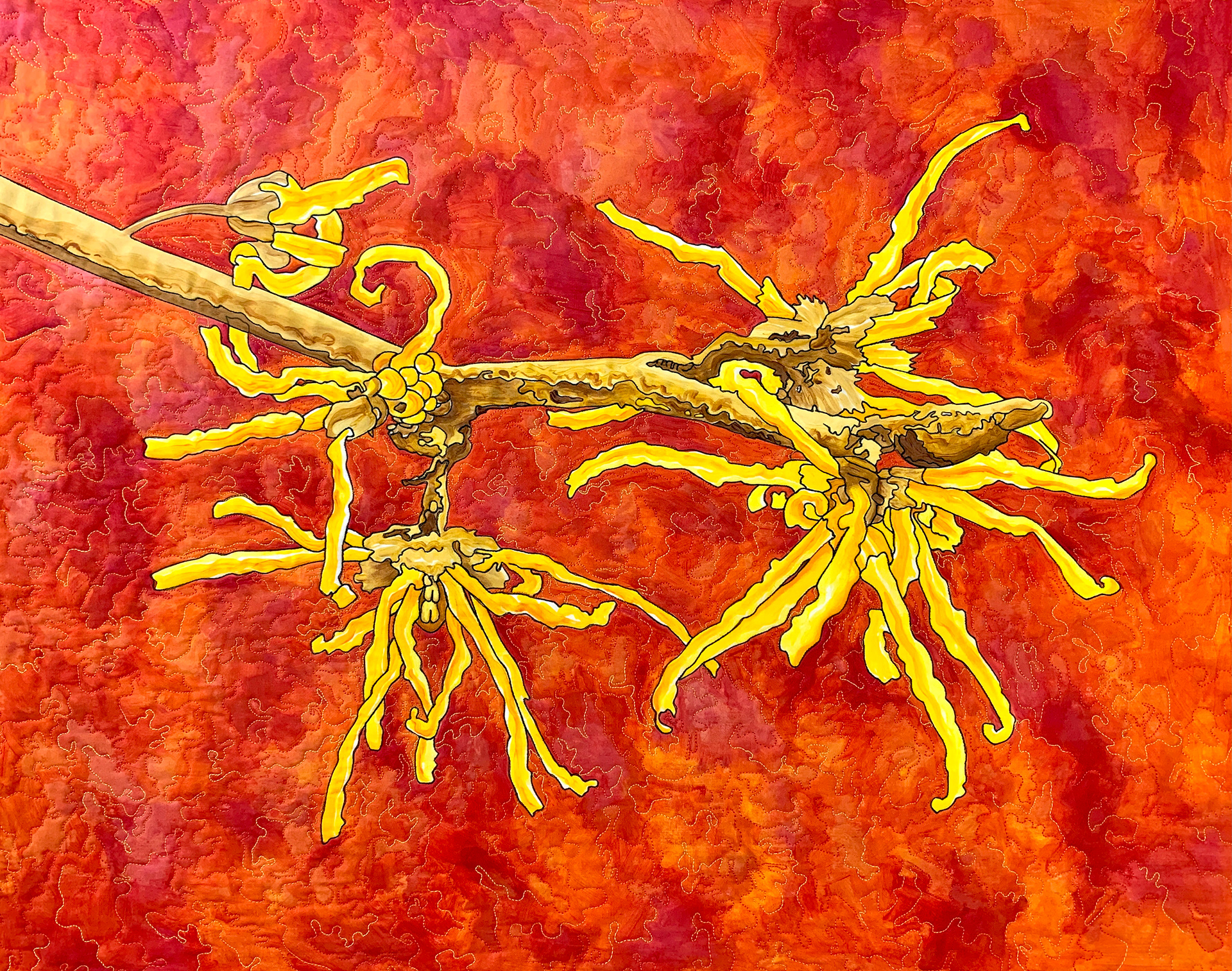 Witch Hazel