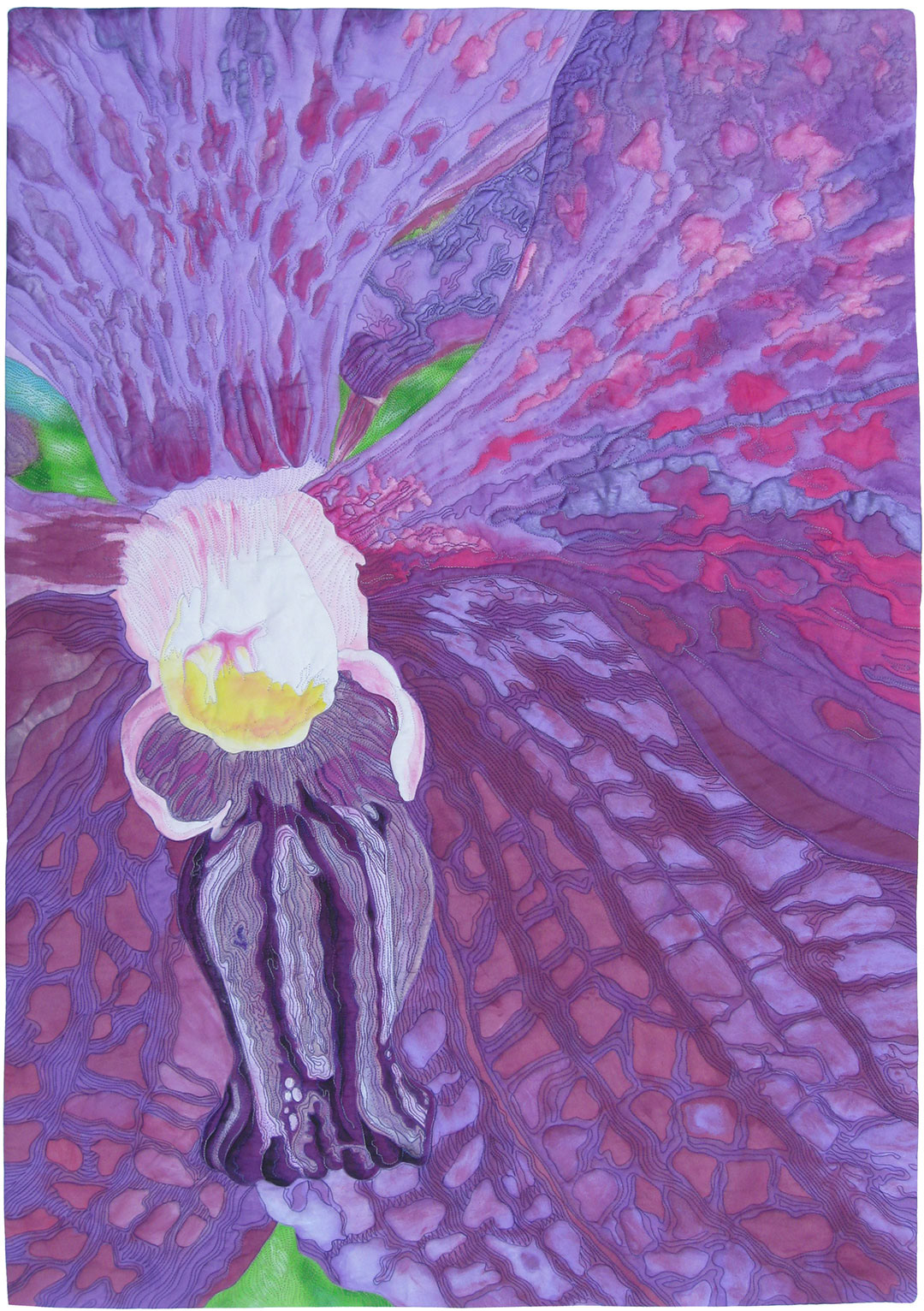 Purple Phalaenopsis