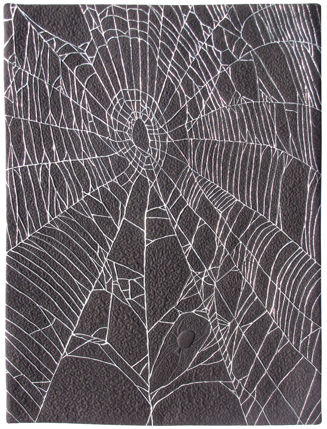 Spiderweb