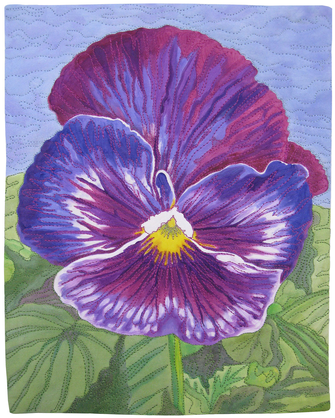 Purple Pansy